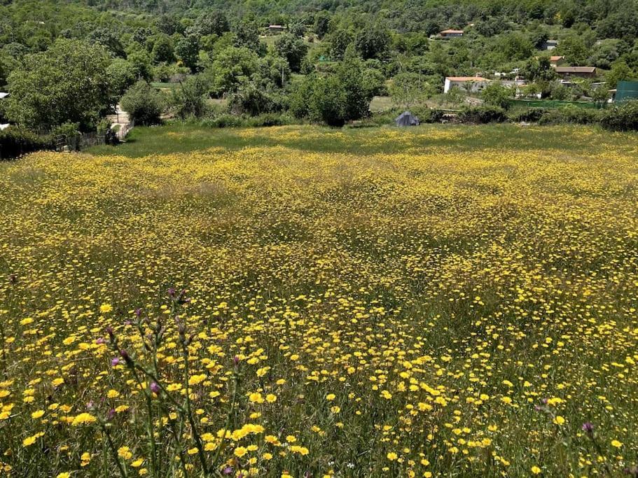 Atico Mirador Del Pielago El Real de San Vicente Kültér fotó